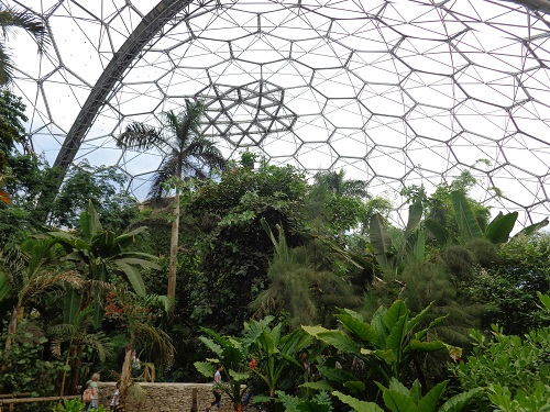 The Rainforest Biome is the world's largest indoor rainforest and greenhouse!