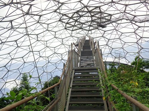 The climb to the viewing platform at the Rainforest Biome at the Eden Project - worth waiting in queue for!