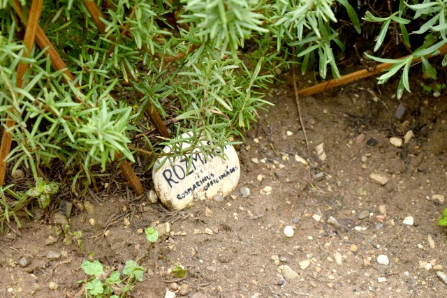 Everything is lovingly cared for, including the herbs! Careful labelling of herbs in the garden is educational for those who wish to learn more here at Herbal Rooms.
