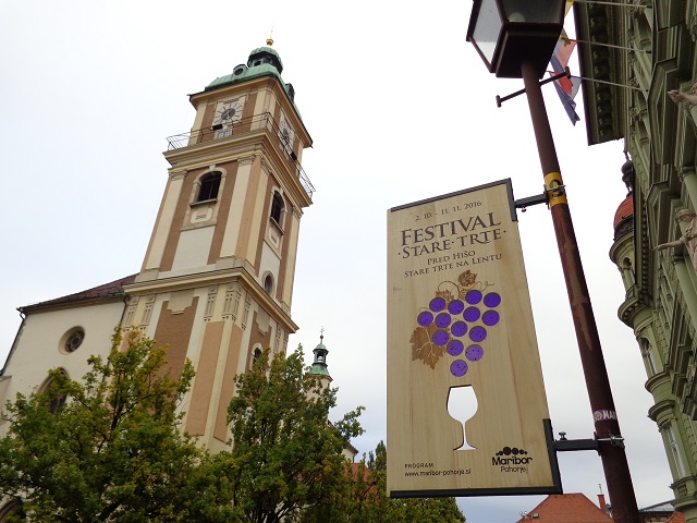 We chanced on Maribor wine festival and it has been an amazing discovery!